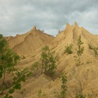 Куда это я попала? :: Наталья Лунева Куда это я попала? :: Наталья Лунева