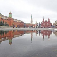 дождь :: Михаил Бибичков дождь :: Михаил Бибичков