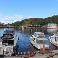 в порту Петропавловска Камчатского в августе :: Александр Белов в порту Петропавловска Камчатского в августе :: Александр Белов
