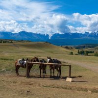 алтай-1 :: Дмитрий Пудовик