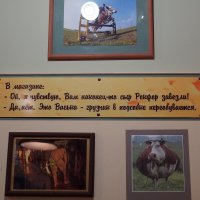 Сырный юмор :: Сергей Беляев