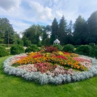 Центральный ботанический сад Национальной академии наук республики Беларусь :: Ирэн 