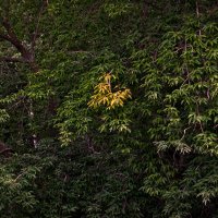 Всему свой час... :: Людмила Фил