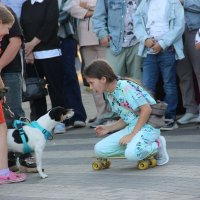 Мой город. :: Венера Чуйкова