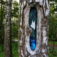 Парковая галерея, или Искусство, приближенное к народу :: Андрей Лукьянов