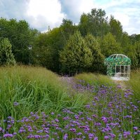 Лето в парке Царицыно :: Ольга Лето в парке Царицыно :: Ольга