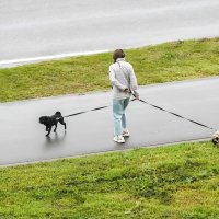 Запутались :: Валерий Иванович