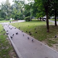 Мой двор. :: Владимир Драгунский