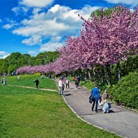 Красота и радость жизни её продлевают :: Alexandеr P