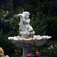 В парке :: Анатолий Уткин