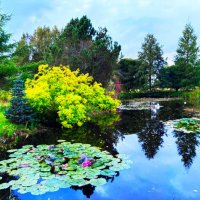 Первые осенние краски :: Aida10 Первые осенние краски :: Aida10