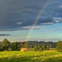 Summer 2025 11 :: Arturs Ancans