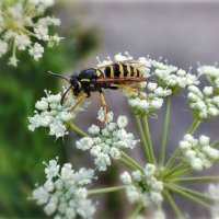 * :: AZ east3 * :: AZ east3