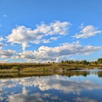 Солнечный денёк августа :: Анастасия Логинова