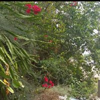 113 (28) :: CLOSE WAYS ALL