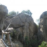 Природа Крыма :: Amazing Cosmea