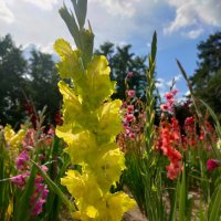 Минск. В Ботаническом саду :: Ирэн 