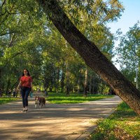 Прогулки в Летнем Парке :: юрий поляков Прогулки в Летнем Парке :: юрий поляков