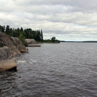 ВЫБОРГСКИЙ ЗАЛИВ. Парк Монрепо. :: Андрей Андреев Андреев