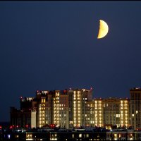 1001 :: Сергей Премонишын