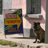 Ну ты заходи ,если что... ))) :: Всеволод Ну ты заходи ,если что... ))) :: Всеволод