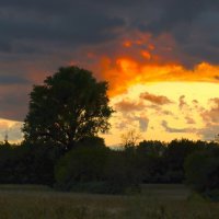 Небо августа :: Юрий. Шмаков Небо августа :: Юрий. Шмаков