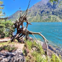 Алтай :: Андрей Л. В.