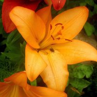 Прощай,лето! :: Елена Семигина Прощай,лето! :: Елена Семигина