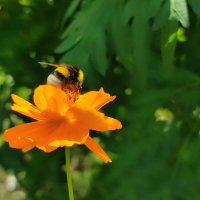 Последние дни лета :: Валентина Богатко 