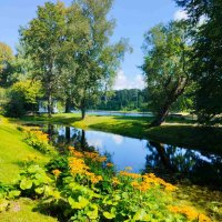 Здравнёво :: Галина Бобкина