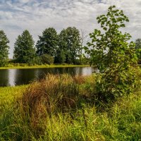 На исходе лета 2 :: Андрей Дворников