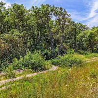 По дороге ... :: Kirill 