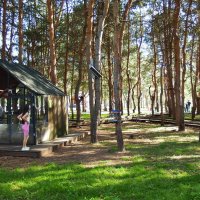 Столовая для  зверей и  птиц . :: Вик Токарев