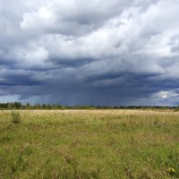 Бывший аэродром :: Артем 