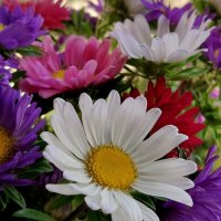 Цветы сентября...Вот и лето прошло... :: tatyana 