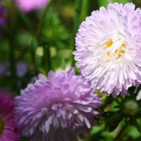 А завтра - осень :: Татьяна Евдокимова