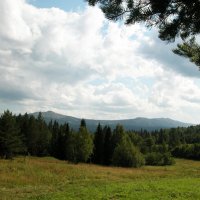 Веет прохладой... :: Наталья Лунева 