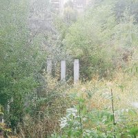 Выделяли деньги на строительство их поделили и забыли. :: Игорь Солдаткин