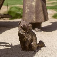 А меня сфоткайте! :: Дмитрий Ряховский