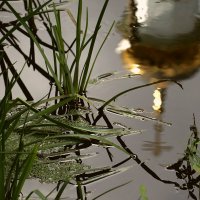 ручей :: Дмитрий Потапов