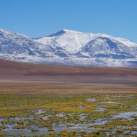 Палитра Альтиплано... :: Владимир Жданов Палитра Альтиплано... :: Владимир Жданов