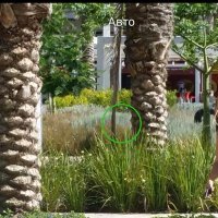 113 (31) :: CLOSE WAYS ALL