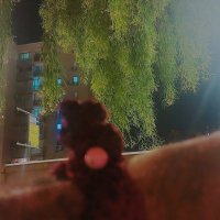 13  ОПЕН (272) :: OPEN WAYS ALL