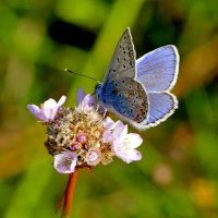 из снятого позавчера 3 :: Александр Прокудин из снятого позавчера 3 :: Александр Прокудин