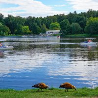 Лето в парке Царицыно :: Ольга 