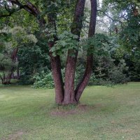 Зеленогорск :: zavitok *