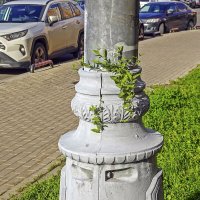 Смычка города с природой :: Валерий Иванович Смычка города с природой :: Валерий Иванович