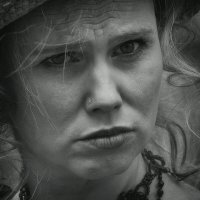 *** :: Dan Berli *** :: Dan Berli