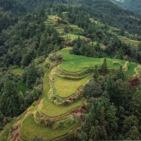 Рисовые террасы :: Дмитрий 