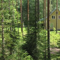 Домик в садоводстве «Сопки» :: Александр Ильчевский 